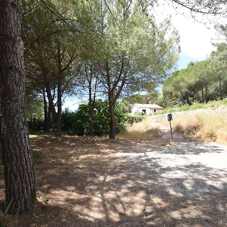 Villino Ginestra - Zona Mare Con Giardino